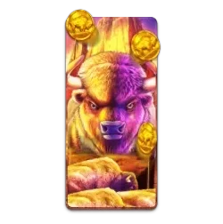Buffalo
King
